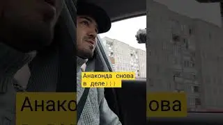 ИДПС призвал АНАКОНДУ) #police #гибдд #дпс #полиция #car #automobile