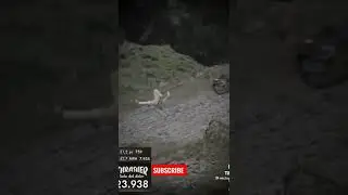 #stuntfails #shorts