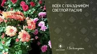 Всех с праздником Светлой Пасхи!)
