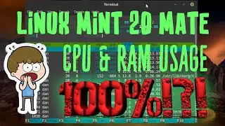 Linux Mint 20 