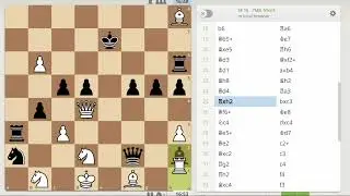 Simple Max Advance and Chess Bots in C