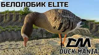 Обзор на гусиные чучела Duck Mania | Краш-тест на краску 
