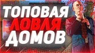 Ловля Домов ! Arizona RP Chandler