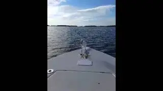 Deep throat it...