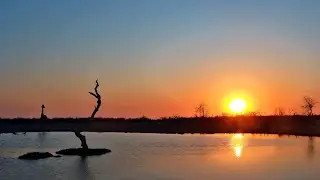 Sunrise At Safarihoek