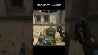 Новый молик от Симпла