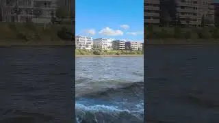 День Незалежності України у Бремені