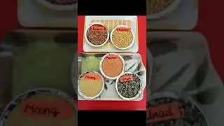 Introduction to various pulses