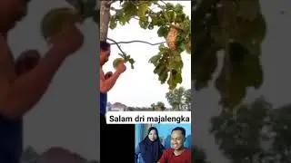 Pilih anak orang kaya atau pengangguran 🤣. |REACTION MEME LUCU😂