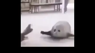 Vines That Keep Me From Ending It All