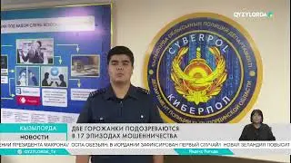 Две гражданки подозреваются в 17 эпизодах мошенничества