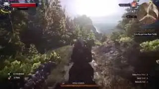 The Witcher 3 Realistic Graphics