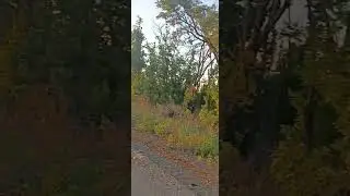 БАХМУТ - 1400 МЕТРОВ... ДО ВОЙСК ВСУ!/ ИЛИ ЕСЛИ БОГ ЗА НАС, КТО ПРОТИВ НАС!/ СЕРГИЙ АЛИЕВ/ РЕПОСТ