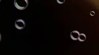 Stupid laughter