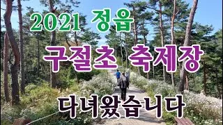 [여행을 떠나요]2021 정읍 구절초 축제장을 다녀 왔습니다