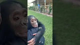 This monkey missed his dad too much 🥺❤ 