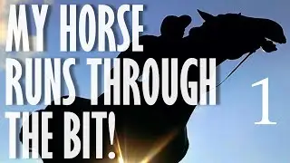 How to Make a Horse Go Faster, Slower or Stop Taking Off With You (Part 1 of 2)