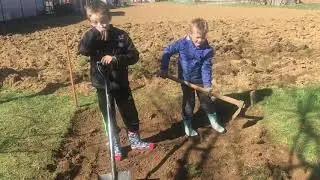 Silos za kukuruze