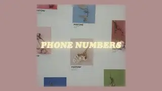 phone numbers //dominic fike lyrics