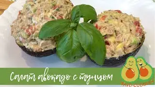 Салат с тунцом и авокадо