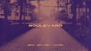 [FREE] Don Toliver x The Kid LAROI Type Beat - "Boulevard"