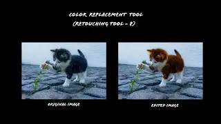 Adobe Photoshop's Color Replacement Tool