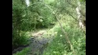 Спортяга в лесу