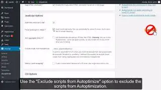 How To Install & Set Up Autoptimize in WordPress