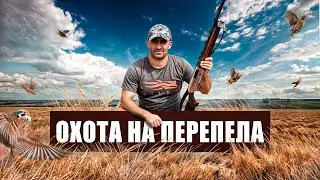 ОХОТА НА ПЕРЕПЕЛА