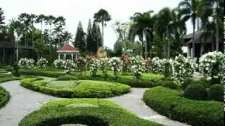 Suan Nong Nooch.flv