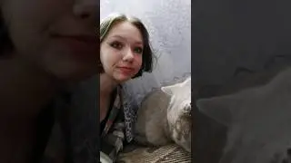 кто тоже жалуется коту? #актив #подпишись #рекомендации