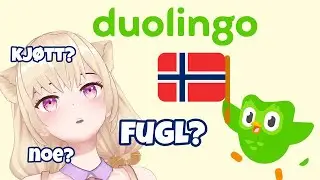 Alymew learns Norwegian with Duolingo!