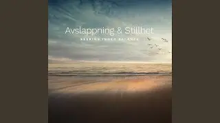 Seeking Inner Balance