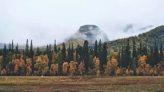Про Бабушку. И откуда в вас Любовь и Тепло. Работа с родом.