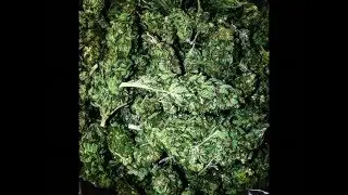 Top 10 Songs To Get High To