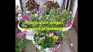 Цветочные миксы для напольных вазонов.