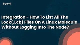 Integration - How To List All The Lock(.Lck) Files On A Linux Molecule Without Logging Into The Node