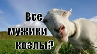 Какого мужчину можно назвать козлом? Почему все мужики козлы? Все твои кавалеры придурки? Нарушевич