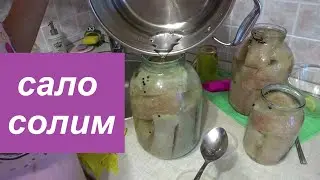 Сало солим в рассоле