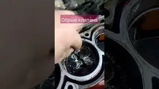 шкода веселье продолжается #shorts
