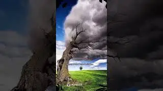 Hasad, Iri, Dengki Sifat Yang Sangat Buruk & Menjijikkan