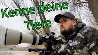 Kenne deine Tiere / VLOG #2