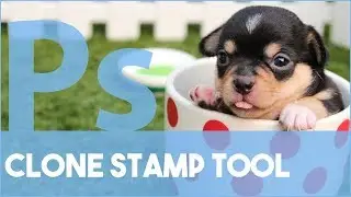 Photoshop Clone Stamp Tool
