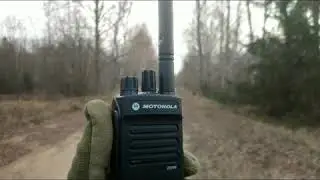 Сравнение раций в лесу
