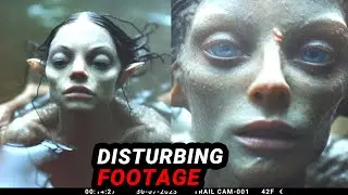 This SHOCKING Trail Cam Footage Shook Expert Beliefs
