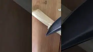 Wood curl shaving terminusXR Cryo D2 
