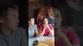 Семейный отдых летом приколы 2023  #юмор #смешныевидео #tiktok