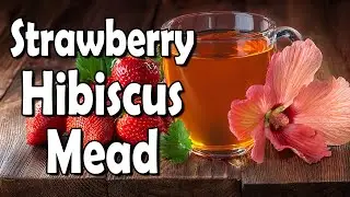How to Make Strawberry Hibiscus Mead at Home (easy and tasty mead recipe)