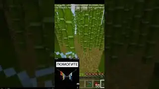 заблудился в лабиринте из бамбука #magic ##shorts #майнкрафт ##мем #minecraft