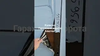 19 февраля 2024 г.